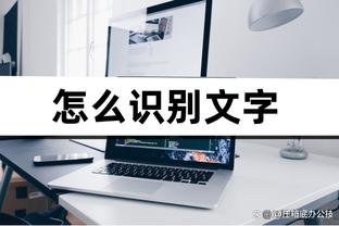 开云手机官网入口网址是什么